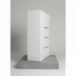 Shoe Cabinet